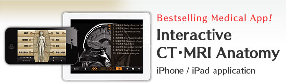 CT・MRI Anatomy